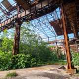 Un�intera parete � ricoperta da un imponente e smisurato albero di fico che si � appropriato di tutto lo spazio, andando ad abbracciare e quasi a �mangiare� le strutture in ferro